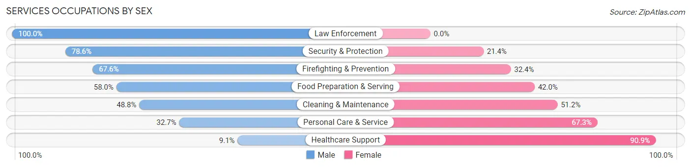 Services Occupations by Sex in Zip Code 27704