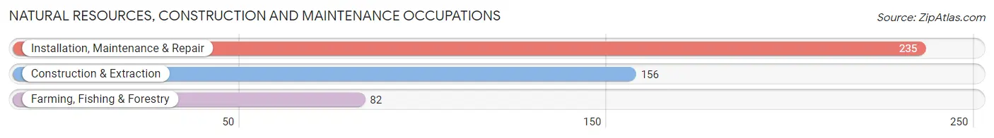 Natural Resources, Construction and Maintenance Occupations in Zip Code 27807