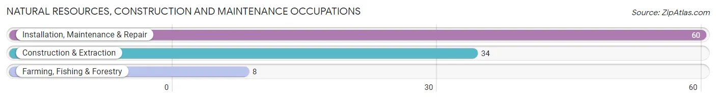 Natural Resources, Construction and Maintenance Occupations in Zip Code 27812