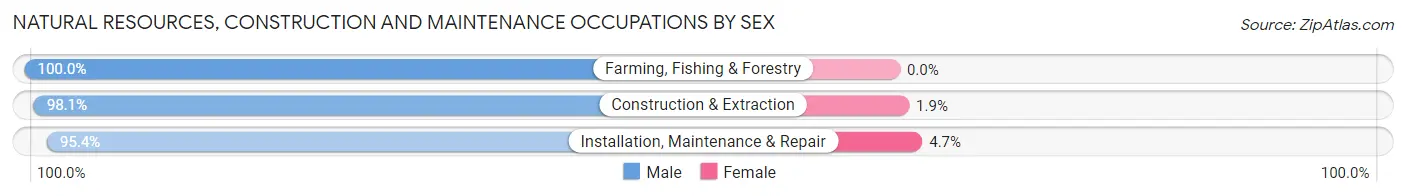 Natural Resources, Construction and Maintenance Occupations by Sex in Zip Code 27817