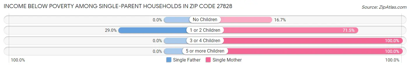 Income Below Poverty Among Single-Parent Households in Zip Code 27828