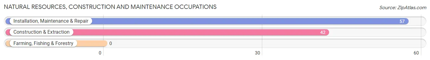 Natural Resources, Construction and Maintenance Occupations in Zip Code 27846