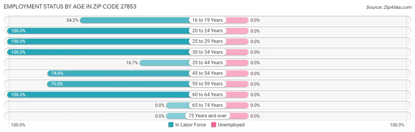 Employment Status by Age in Zip Code 27853