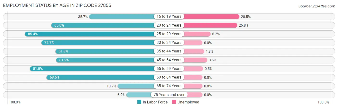 Employment Status by Age in Zip Code 27855