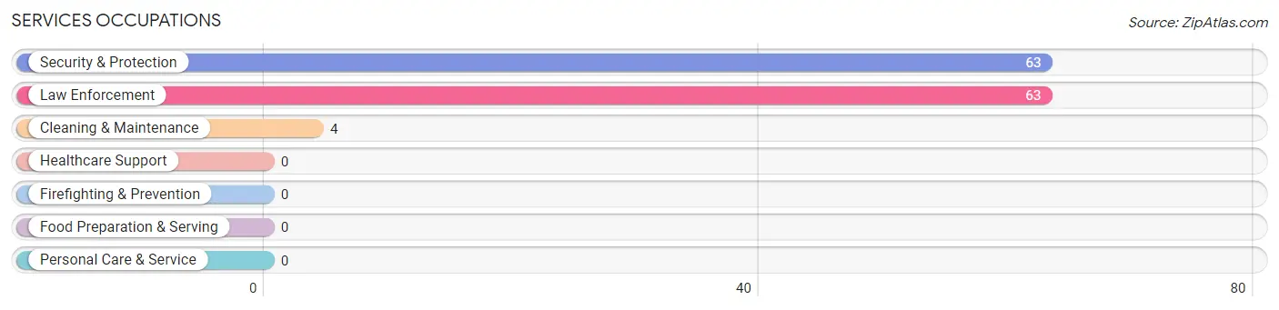 Services Occupations in Zip Code 27862