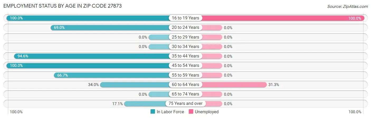 Employment Status by Age in Zip Code 27873