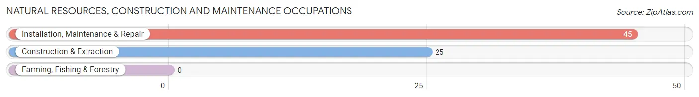 Natural Resources, Construction and Maintenance Occupations in Zip Code 27916