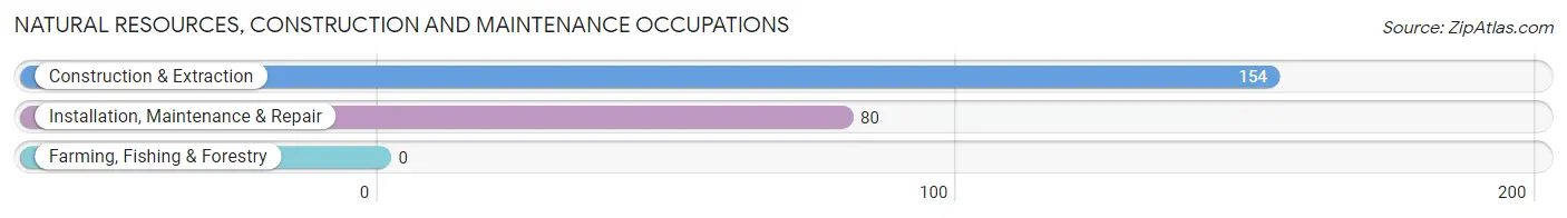 Natural Resources, Construction and Maintenance Occupations in Zip Code 27939