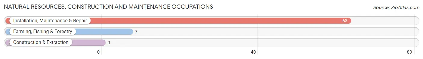 Natural Resources, Construction and Maintenance Occupations in Zip Code 27974