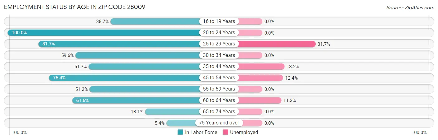 Employment Status by Age in Zip Code 28009