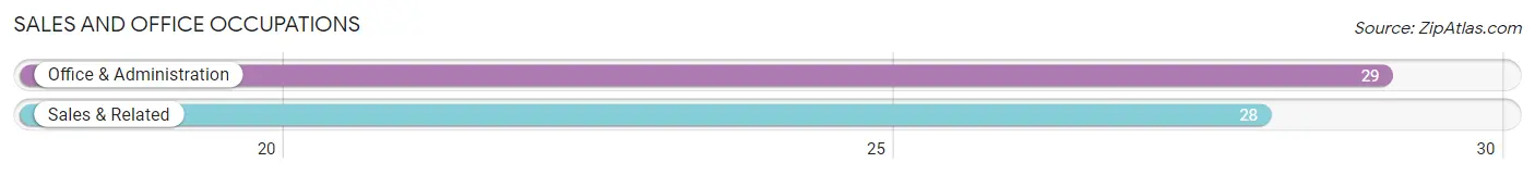 Sales and Office Occupations in Zip Code 28009