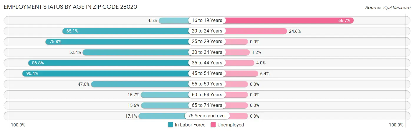 Employment Status by Age in Zip Code 28020