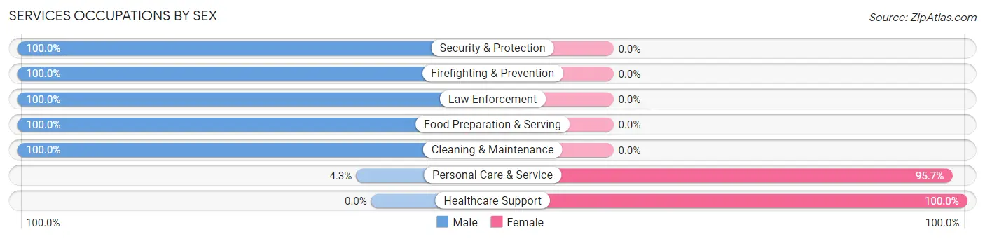 Services Occupations by Sex in Zip Code 28020