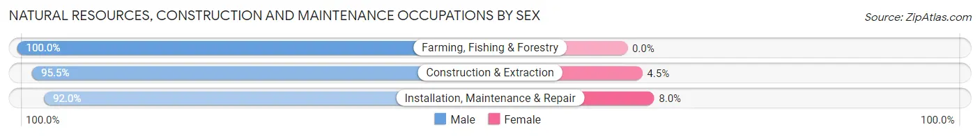 Natural Resources, Construction and Maintenance Occupations by Sex in Zip Code 28021