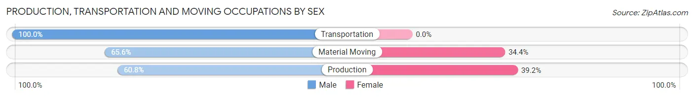 Production, Transportation and Moving Occupations by Sex in Zip Code 28021