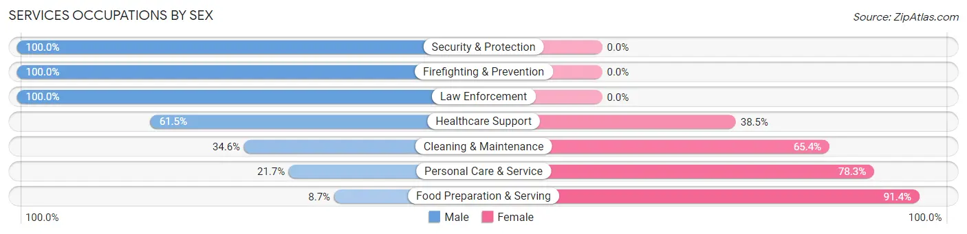 Services Occupations by Sex in Zip Code 28023