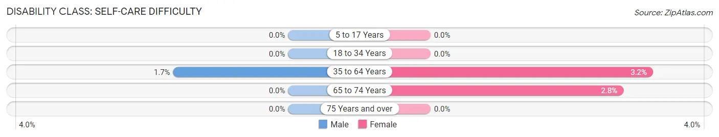 Disability in Zip Code 28032: <span>Self-Care Difficulty</span>