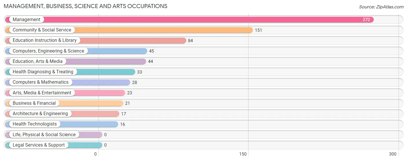 Management, Business, Science and Arts Occupations in Zip Code 28033