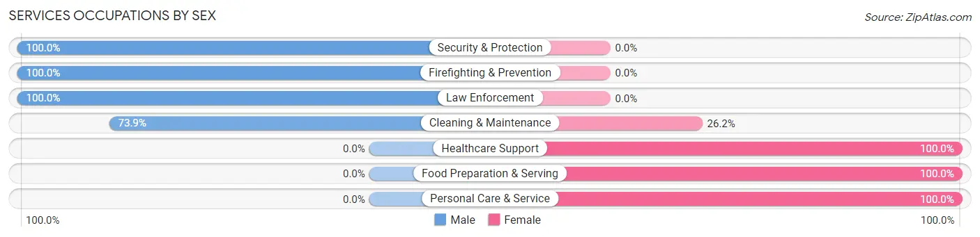 Services Occupations by Sex in Zip Code 28033