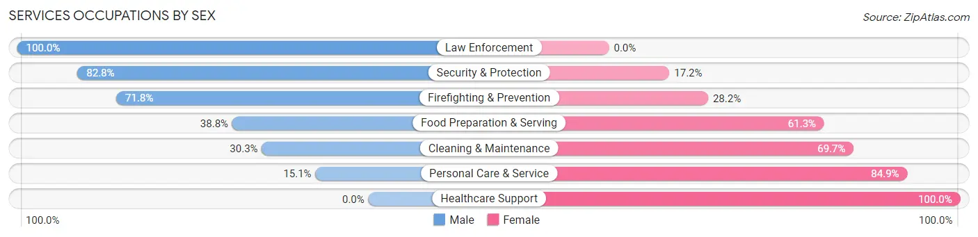 Services Occupations by Sex in Zip Code 28036