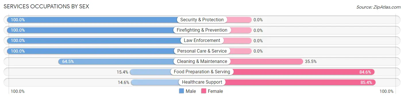 Services Occupations by Sex in Zip Code 28040