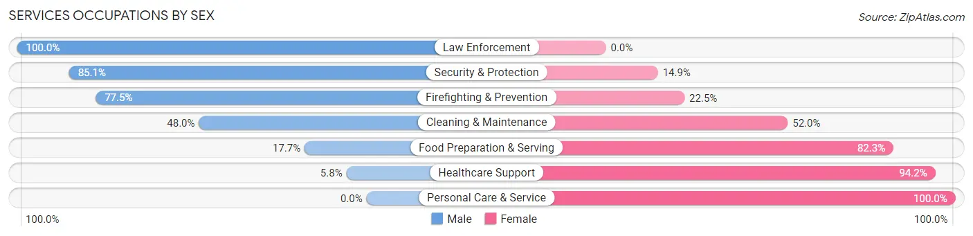 Services Occupations by Sex in Zip Code 28043