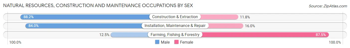 Natural Resources, Construction and Maintenance Occupations by Sex in Zip Code 28054