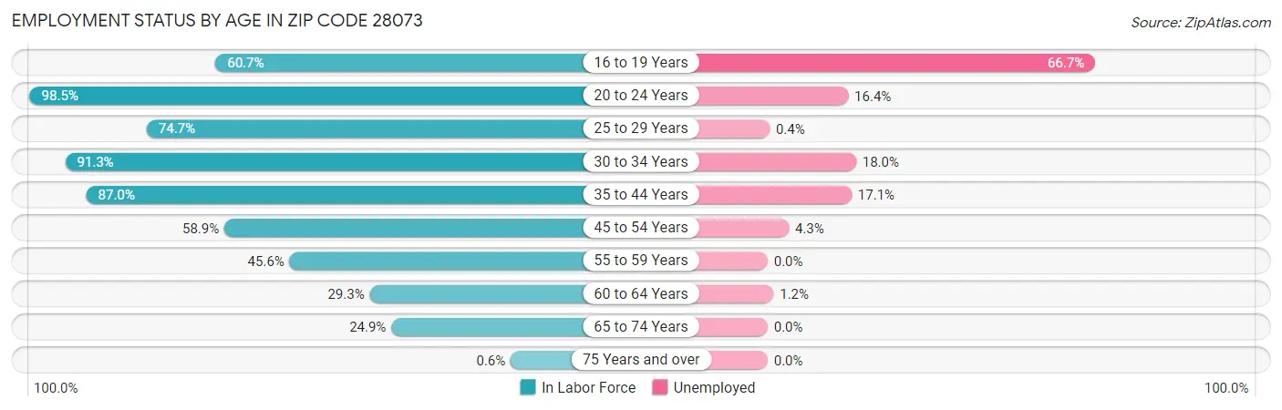 Employment Status by Age in Zip Code 28073