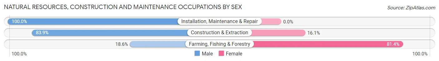 Natural Resources, Construction and Maintenance Occupations by Sex in Zip Code 28075