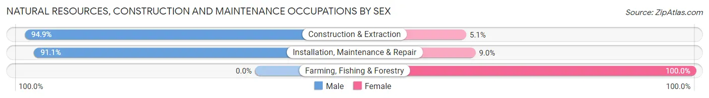 Natural Resources, Construction and Maintenance Occupations by Sex in Zip Code 28083