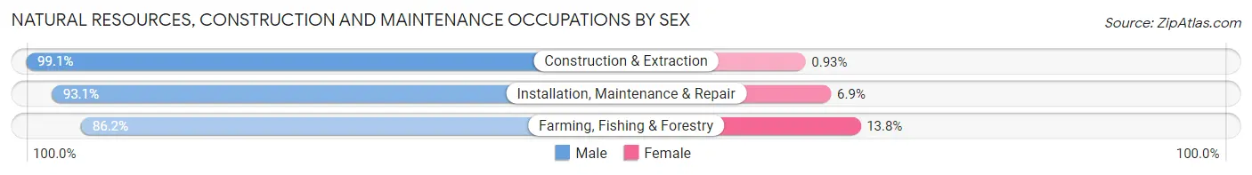 Natural Resources, Construction and Maintenance Occupations by Sex in Zip Code 28090