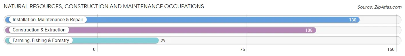 Natural Resources, Construction and Maintenance Occupations in Zip Code 28090