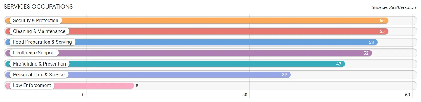 Services Occupations in Zip Code 28090