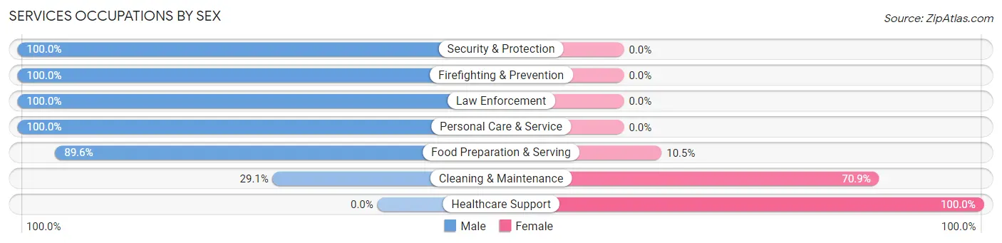 Services Occupations by Sex in Zip Code 28097