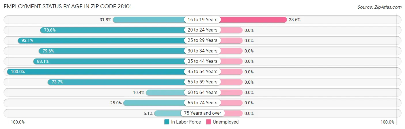 Employment Status by Age in Zip Code 28101