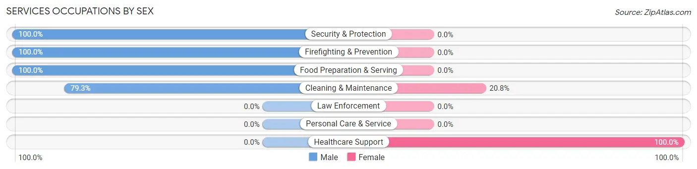 Services Occupations by Sex in Zip Code 28101