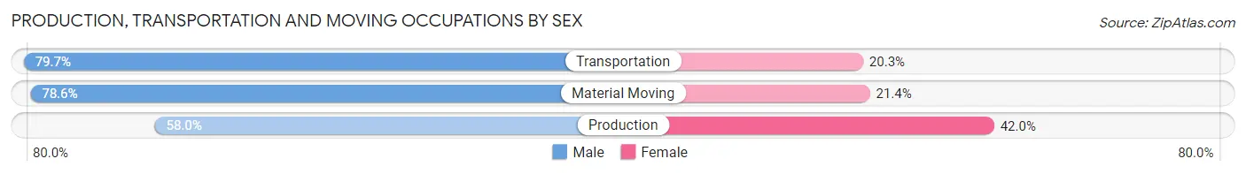 Production, Transportation and Moving Occupations by Sex in Zip Code 28103
