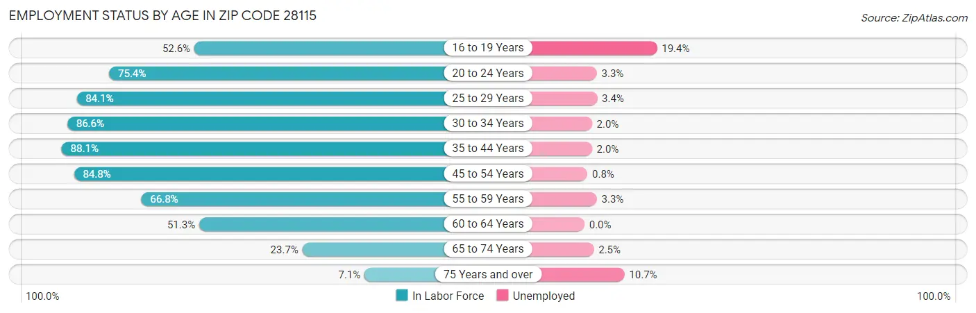 Employment Status by Age in Zip Code 28115