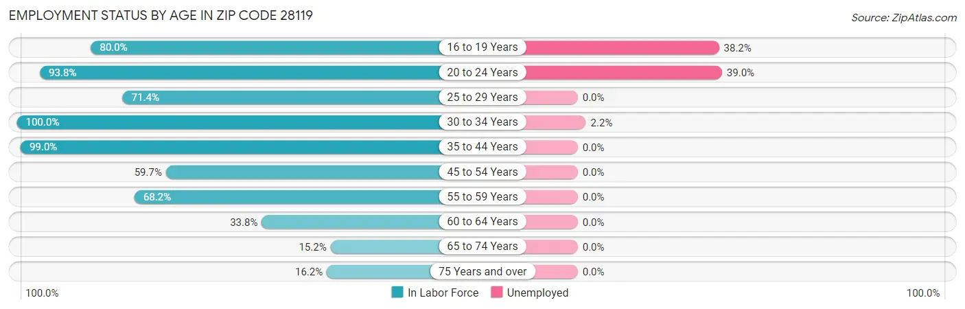 Employment Status by Age in Zip Code 28119