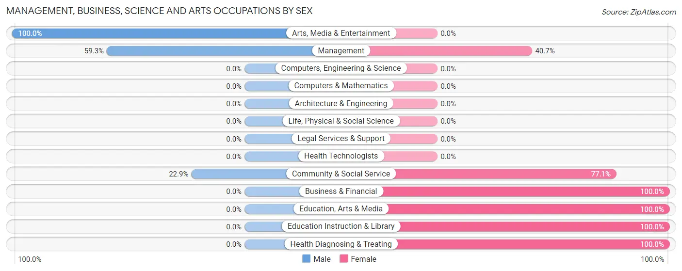 Management, Business, Science and Arts Occupations by Sex in Zip Code 28119