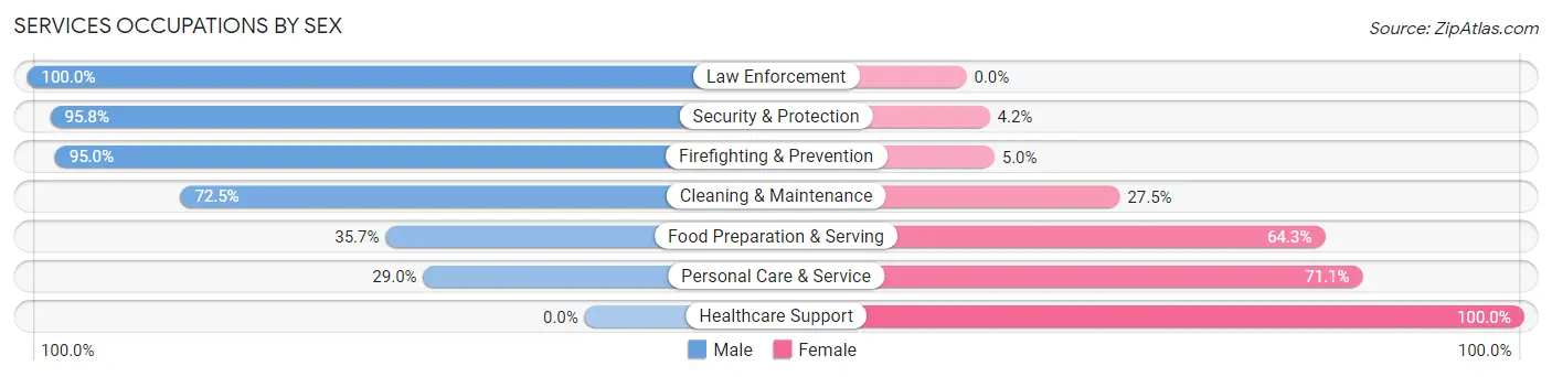 Services Occupations by Sex in Zip Code 28119