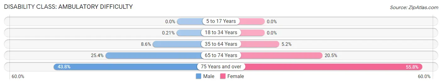 Disability in Zip Code 28128: <span>Ambulatory Difficulty</span>