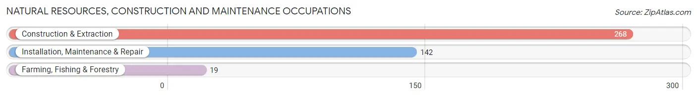 Natural Resources, Construction and Maintenance Occupations in Zip Code 28128