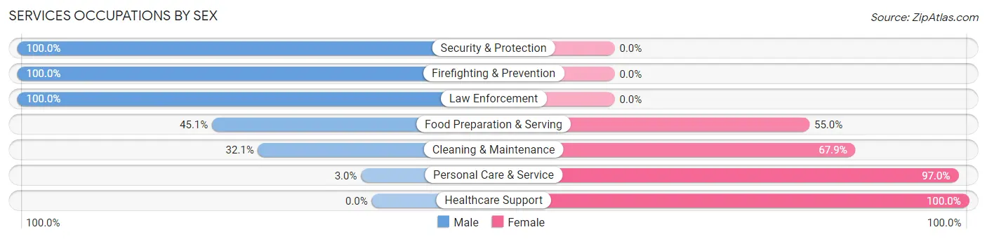 Services Occupations by Sex in Zip Code 28129