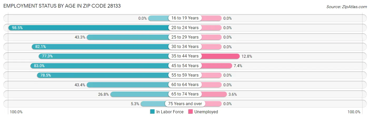 Employment Status by Age in Zip Code 28133