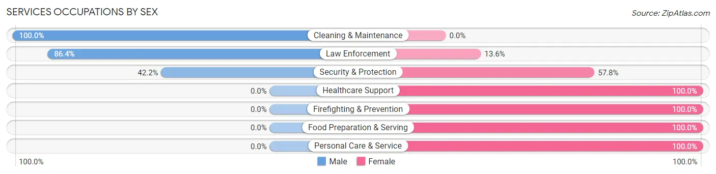 Services Occupations by Sex in Zip Code 28133