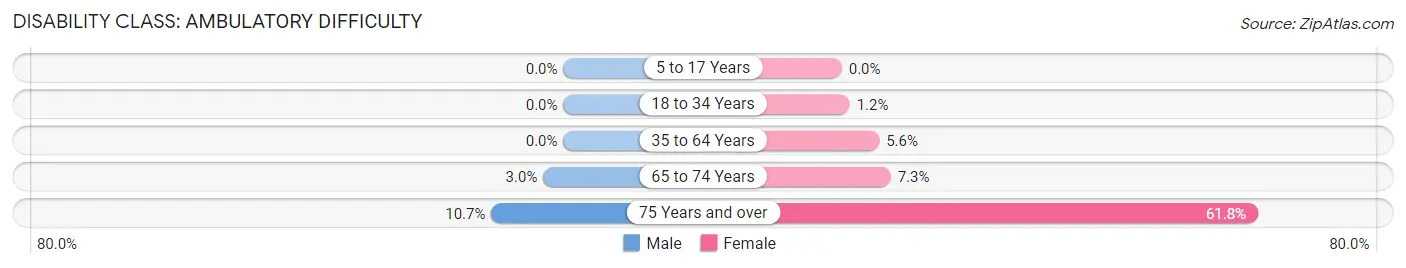 Disability in Zip Code 28134: <span>Ambulatory Difficulty</span>