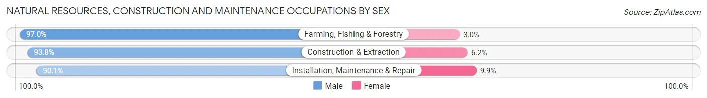 Natural Resources, Construction and Maintenance Occupations by Sex in Zip Code 28139