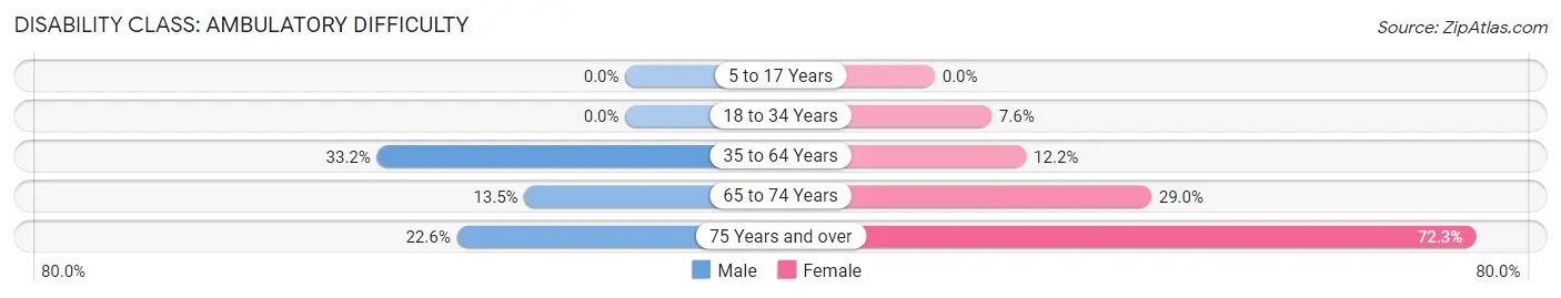 Disability in Zip Code 28160: <span>Ambulatory Difficulty</span>
