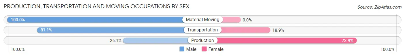 Production, Transportation and Moving Occupations by Sex in Zip Code 28160